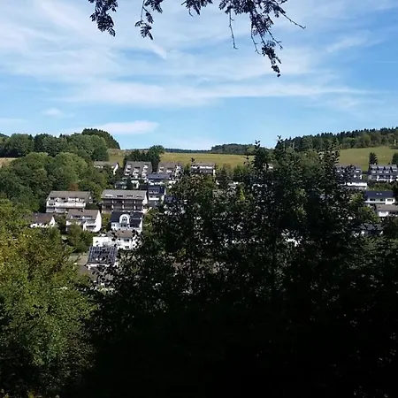 Daire Ferienwohnung Tanja Winterberg